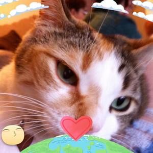 Meet your Posher, Seriman gulcubuk